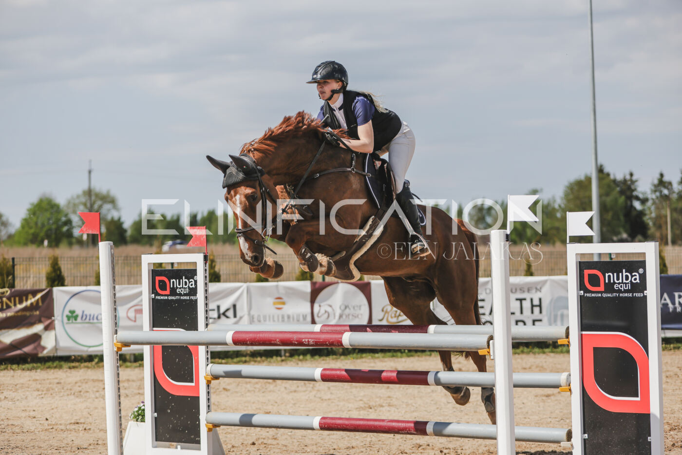 Gramina_Kevad_2026_110_077