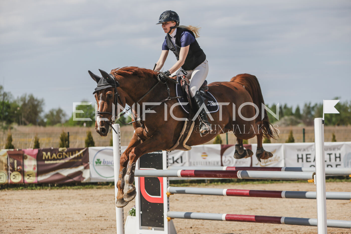 Gramina_Kevad_2026_110_081