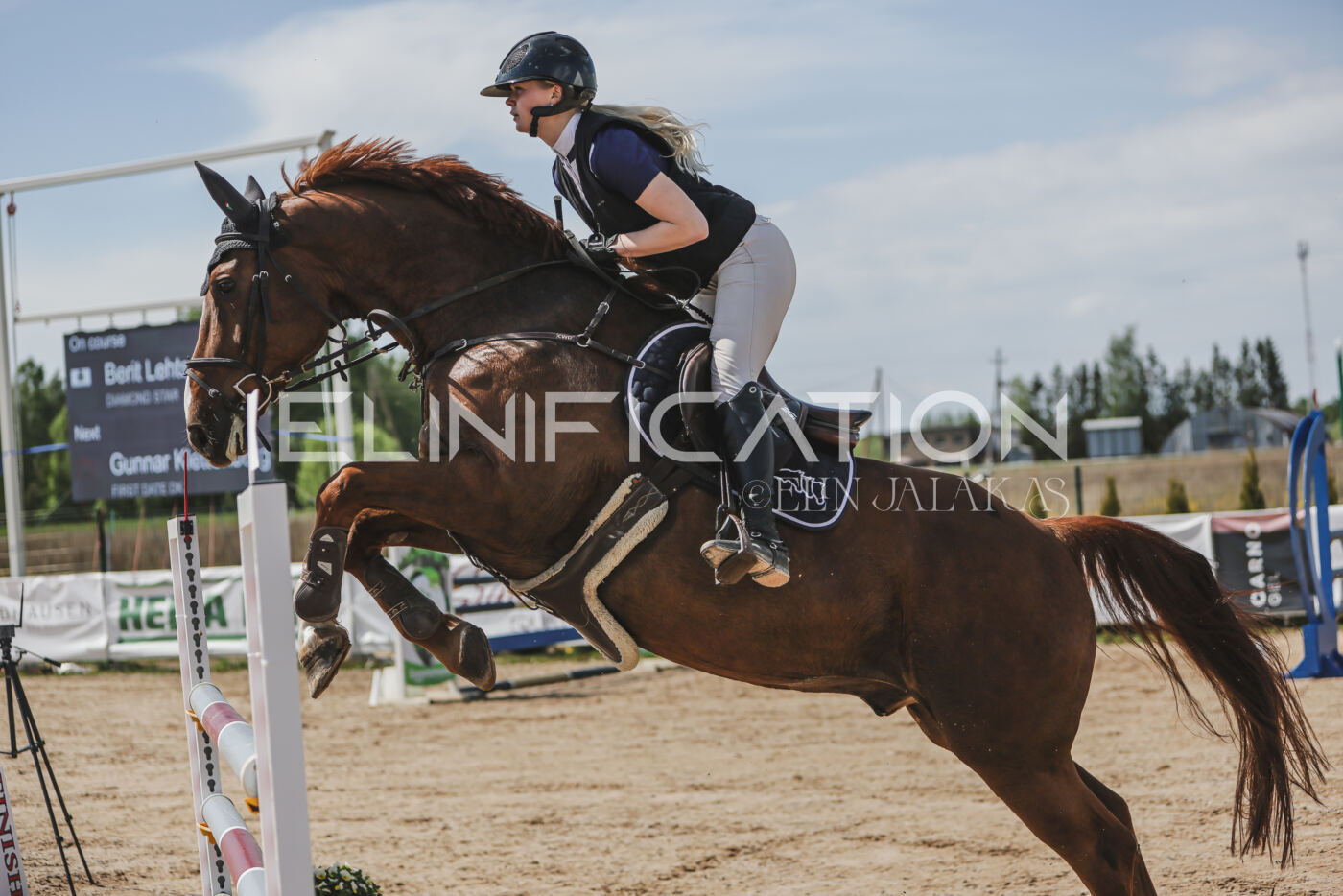 Gramina_Kevad_2026_110_083