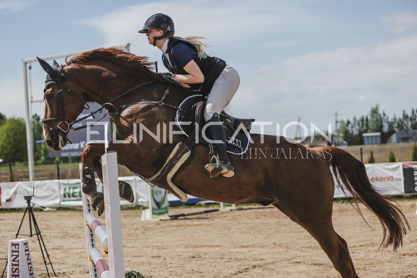 Gramina_Kevad_2026_110_084