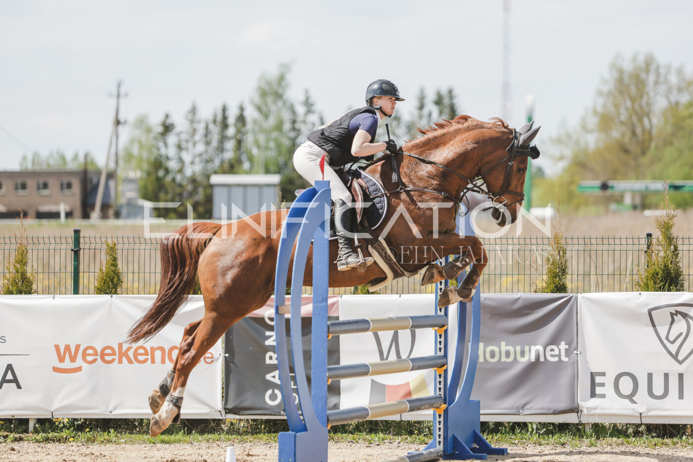 Gramina_Kevad_2026_110_085