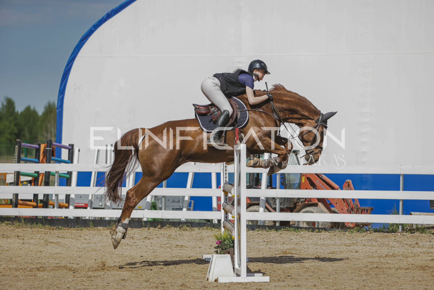 Gramina_Kevad_2026_110_087