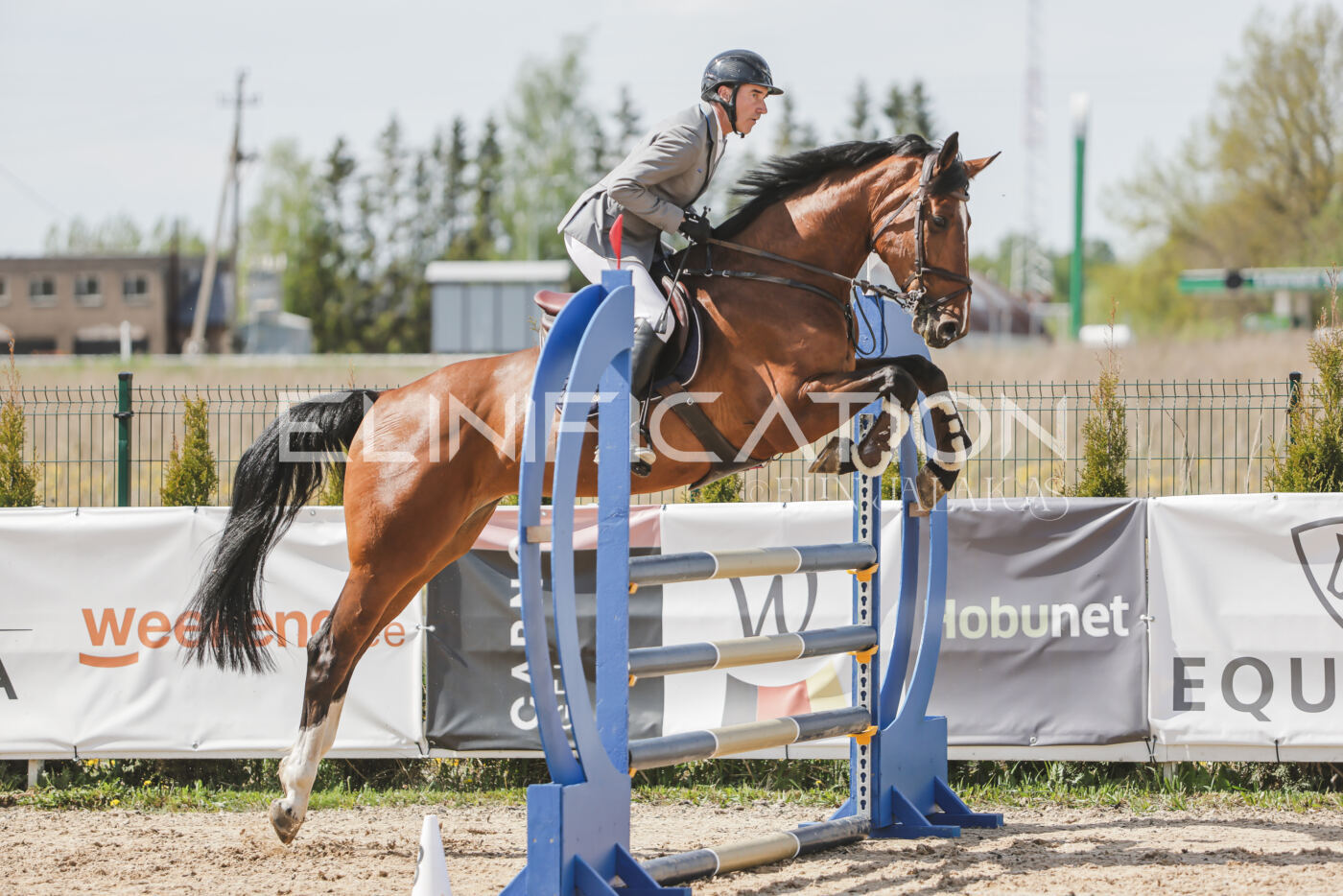 Gramina_Kevad_2026_110_097
