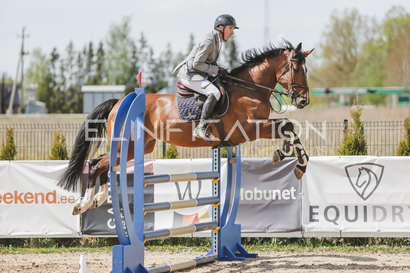 Gramina_Kevad_2026_110_099