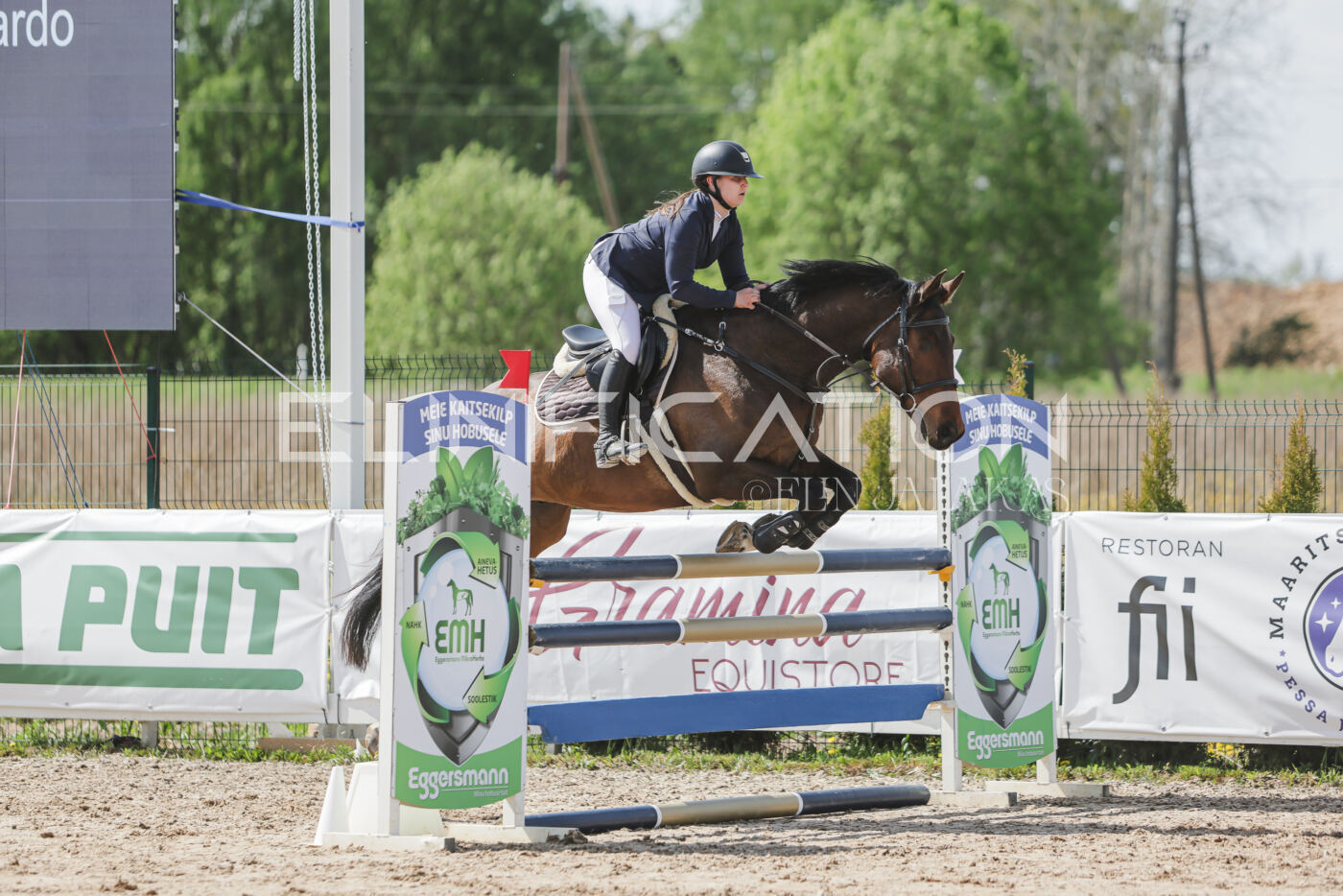 Gramina_Kevad_2026_110_111