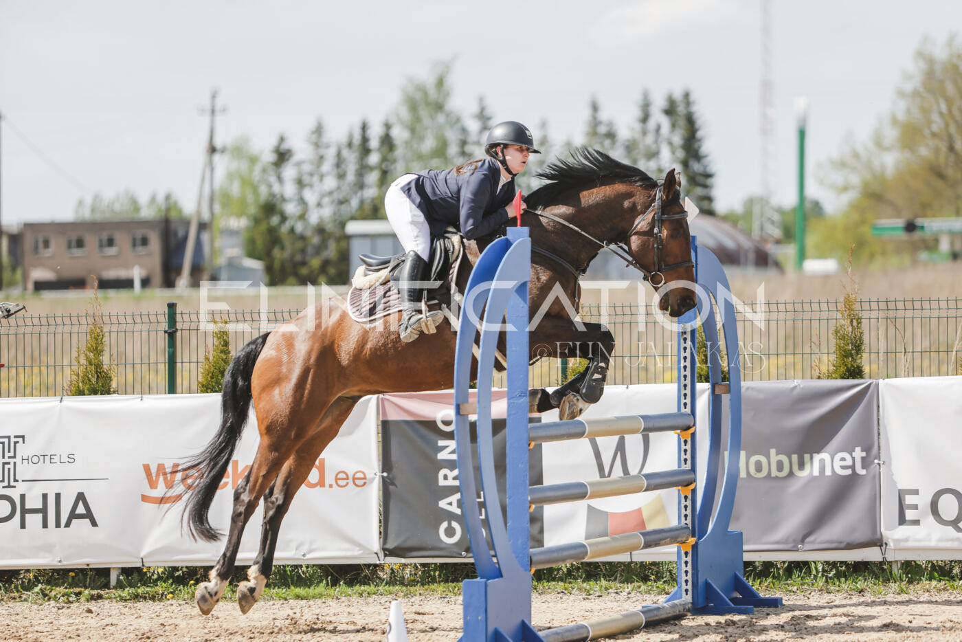 Gramina_Kevad_2026_110_114