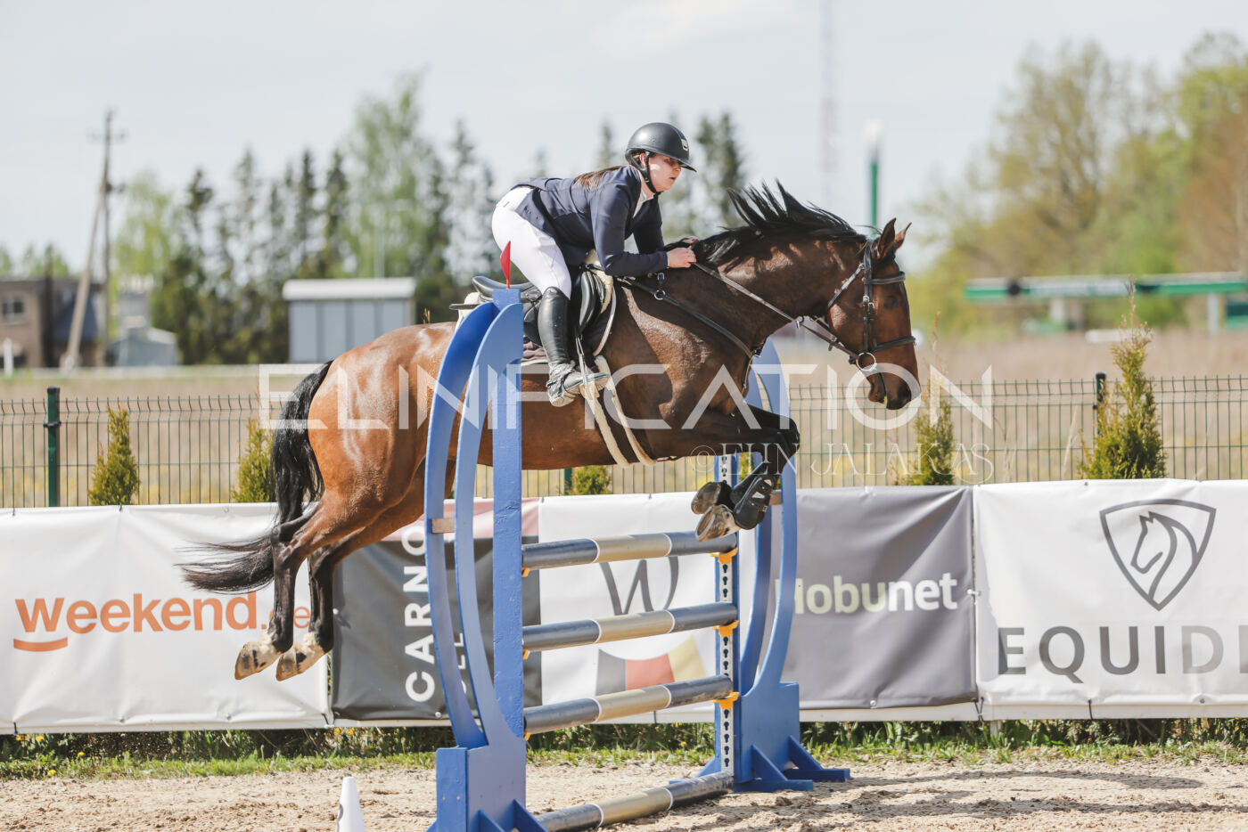Gramina_Kevad_2026_110_116