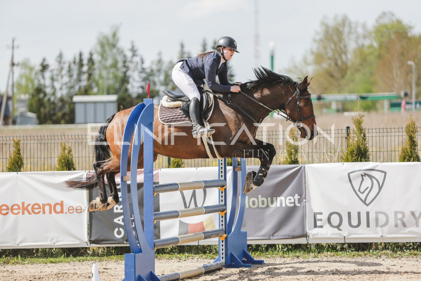 Gramina_Kevad_2026_110_117