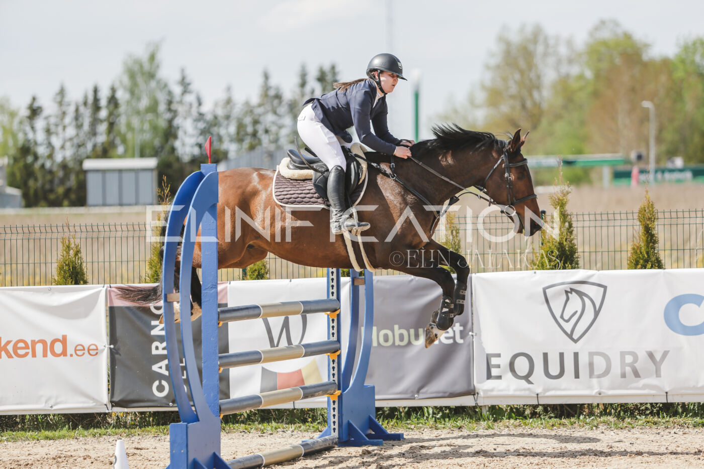 Gramina_Kevad_2026_110_118