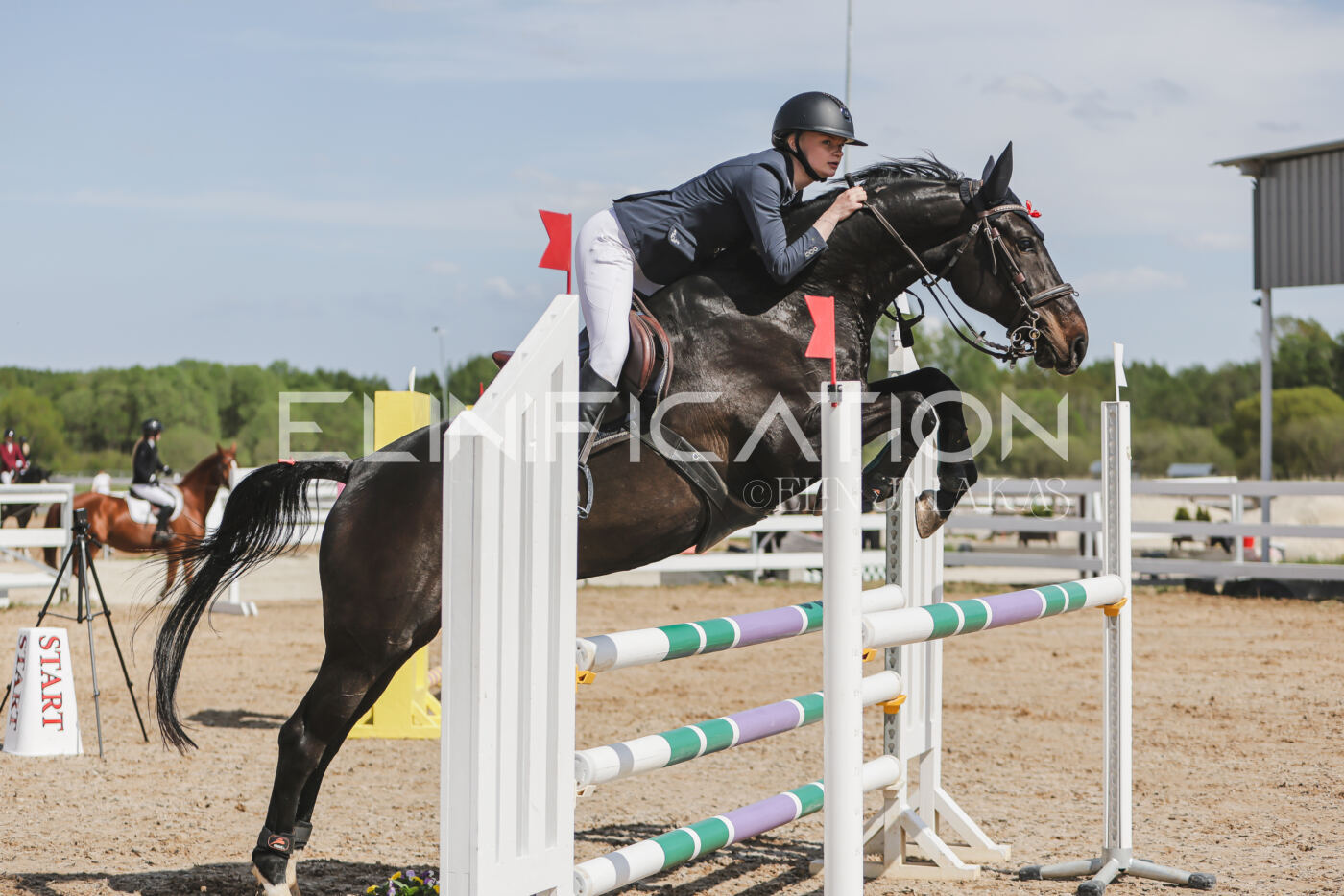 Gramina_Kevad_2026_110_127