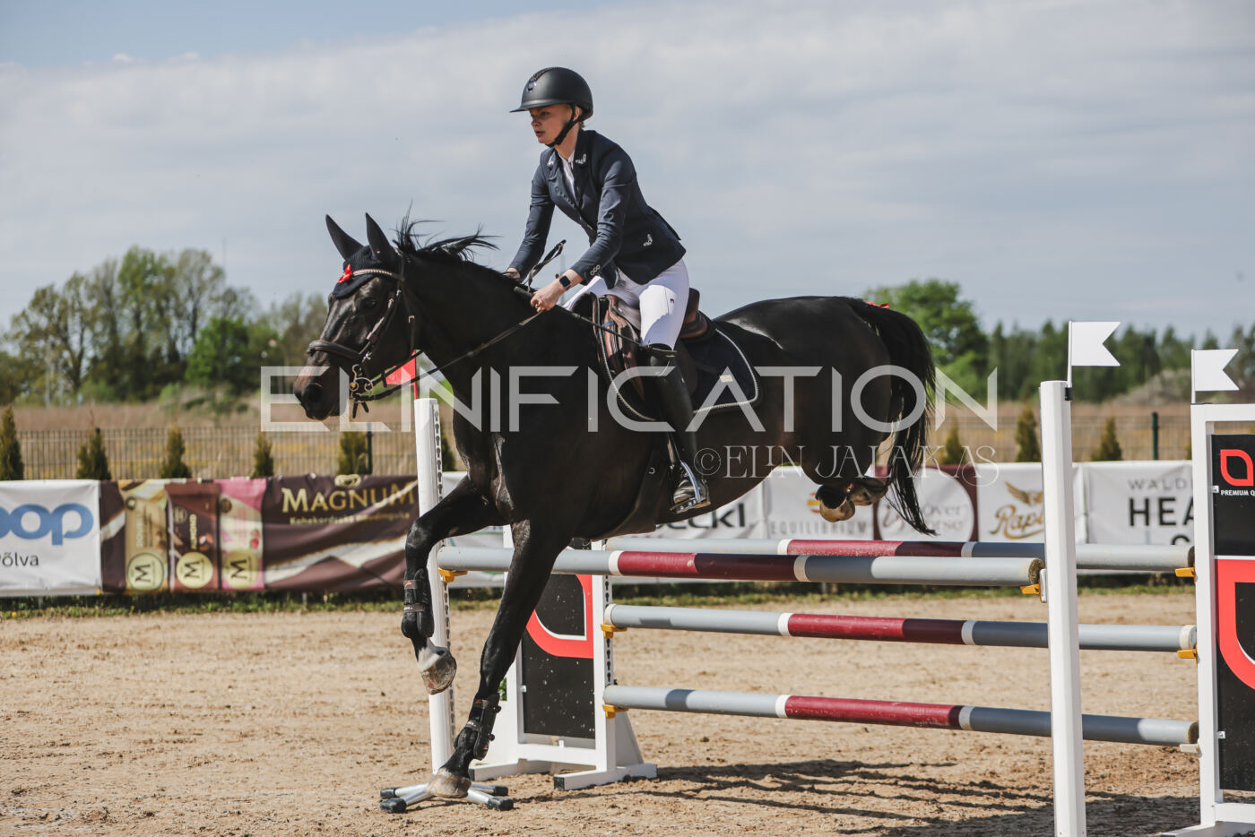 Gramina_Kevad_2026_110_135