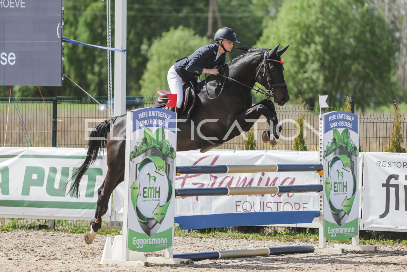 Gramina_Kevad_2026_110_139