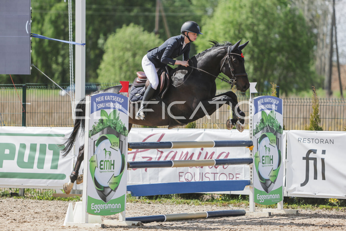 Gramina_Kevad_2026_110_140