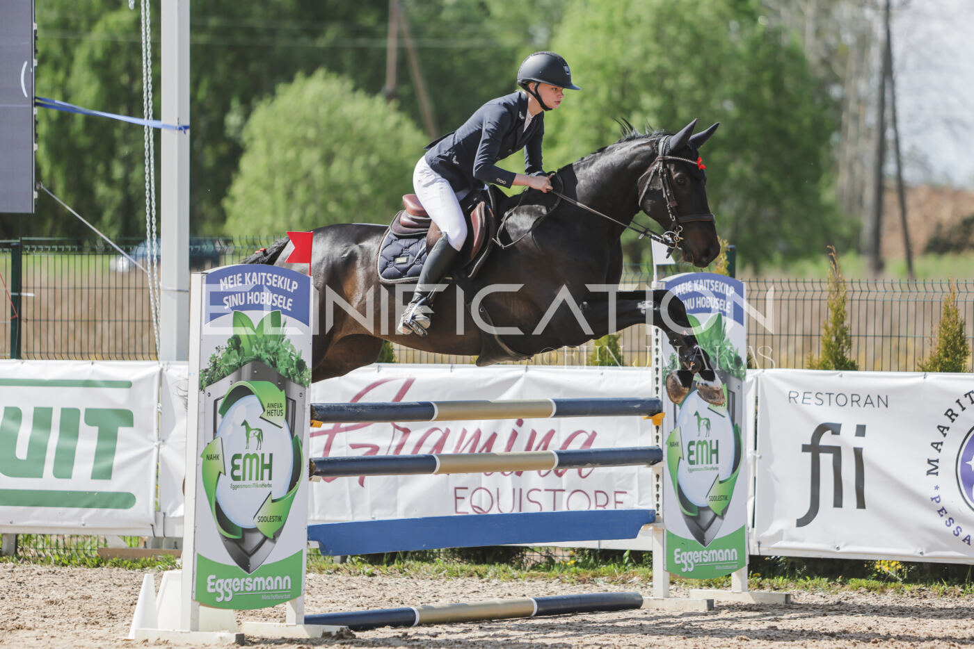 Gramina_Kevad_2026_110_141