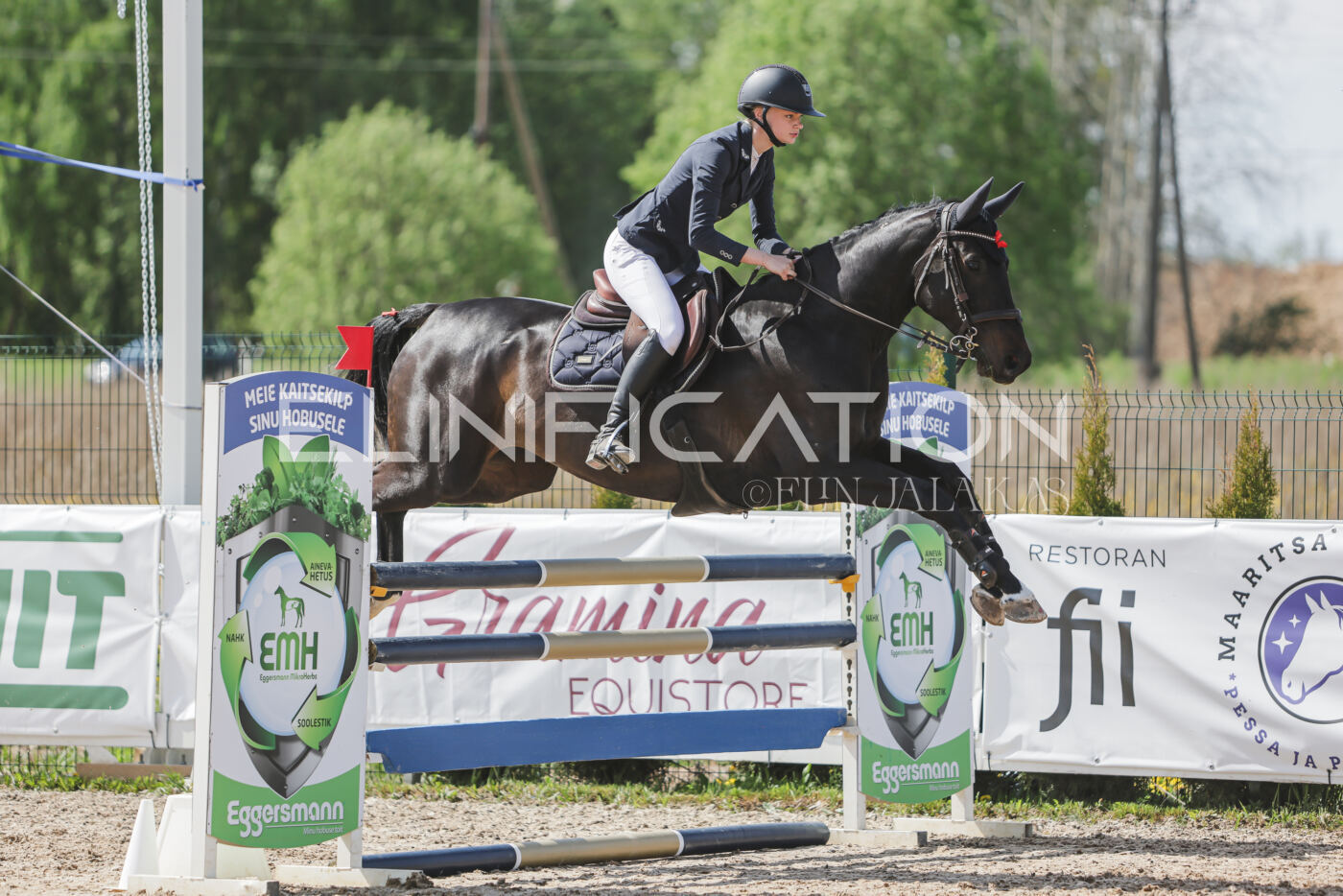 Gramina_Kevad_2026_110_142