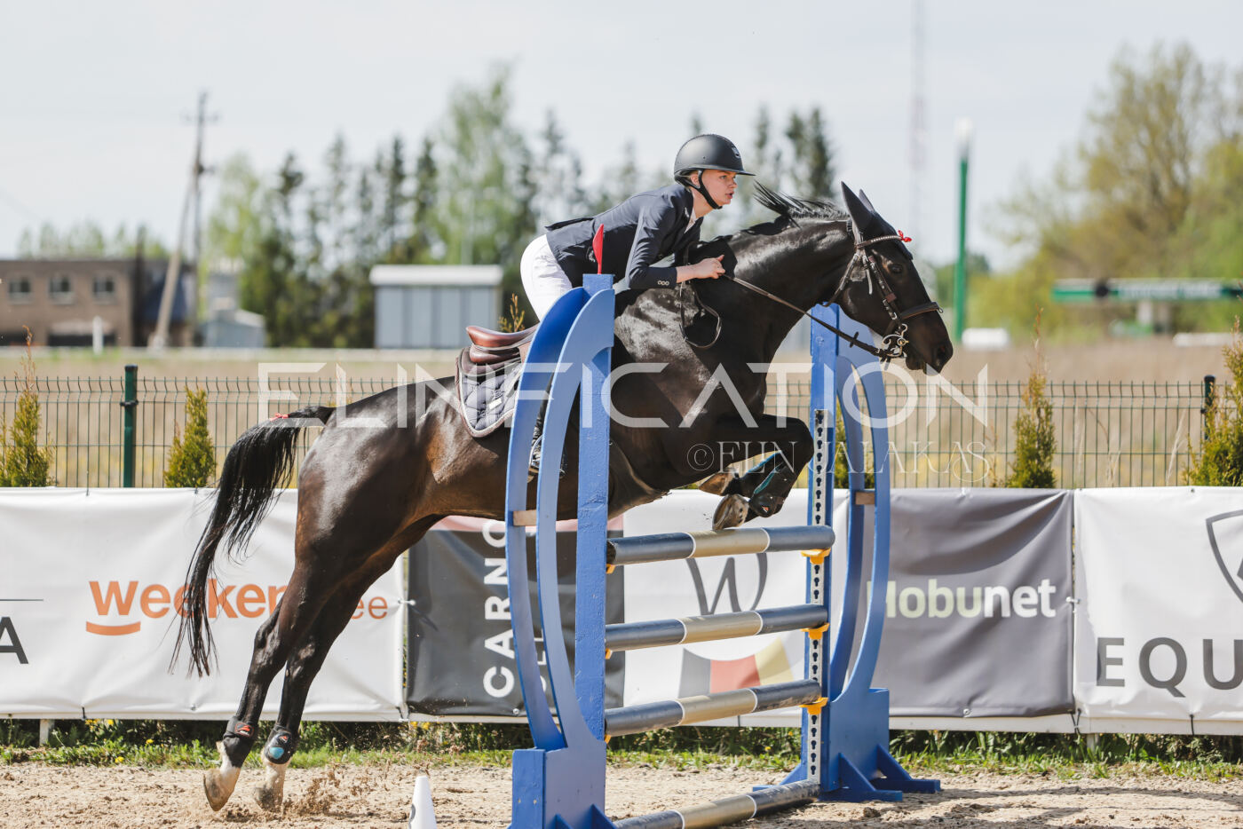 Gramina_Kevad_2026_110_144
