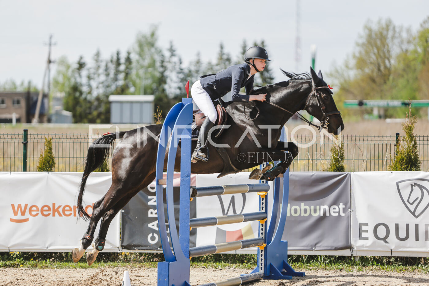Gramina_Kevad_2026_110_145