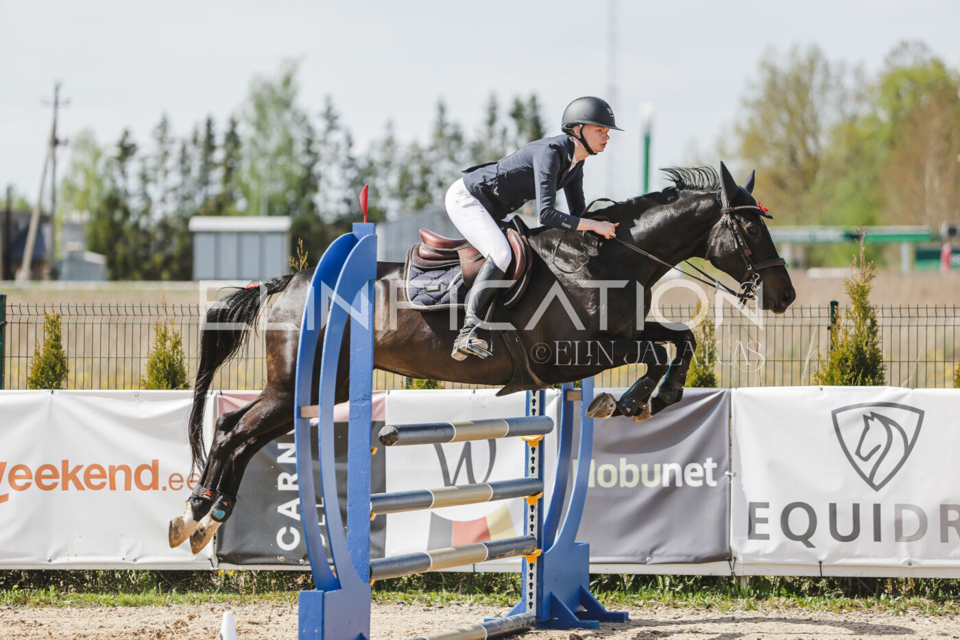 Gramina_Kevad_2026_110_146