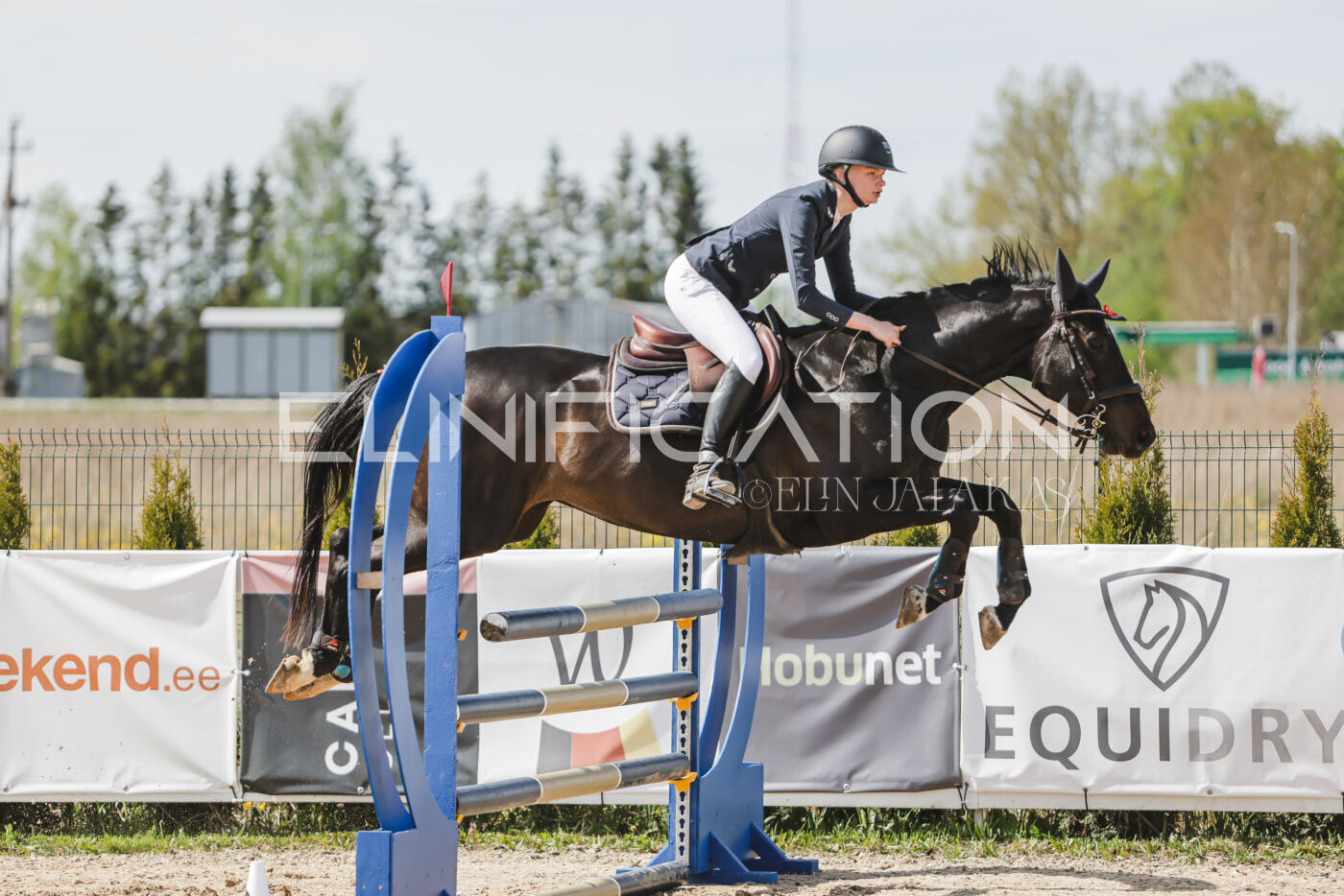Gramina_Kevad_2026_110_147