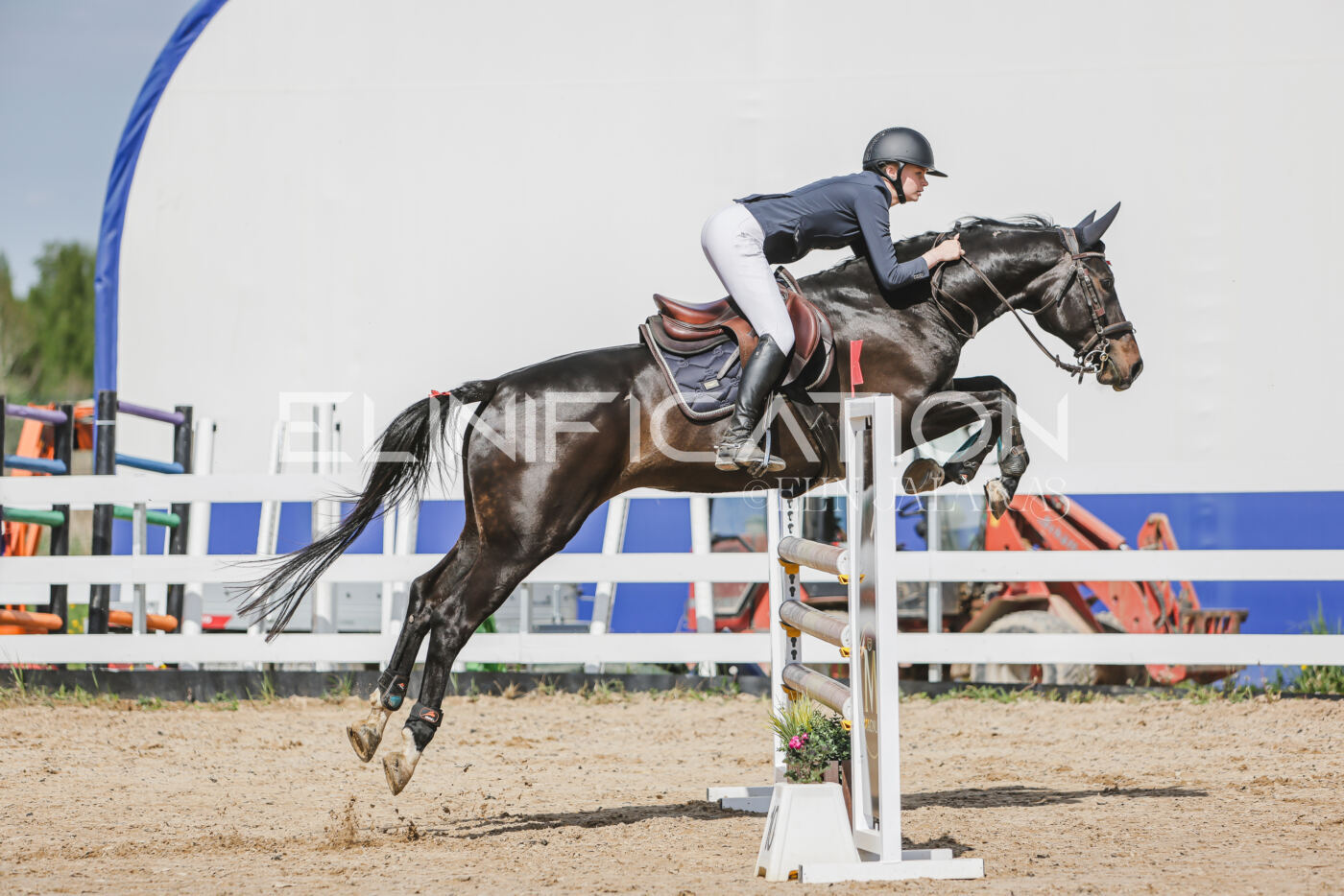 Gramina_Kevad_2026_110_149