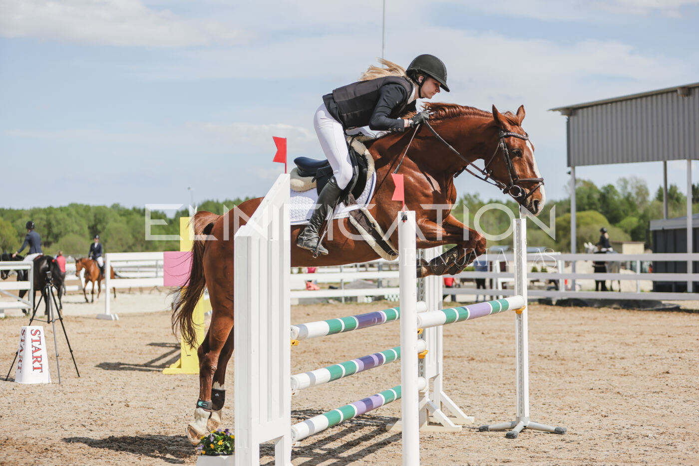 Gramina_Kevad_2026_110_151