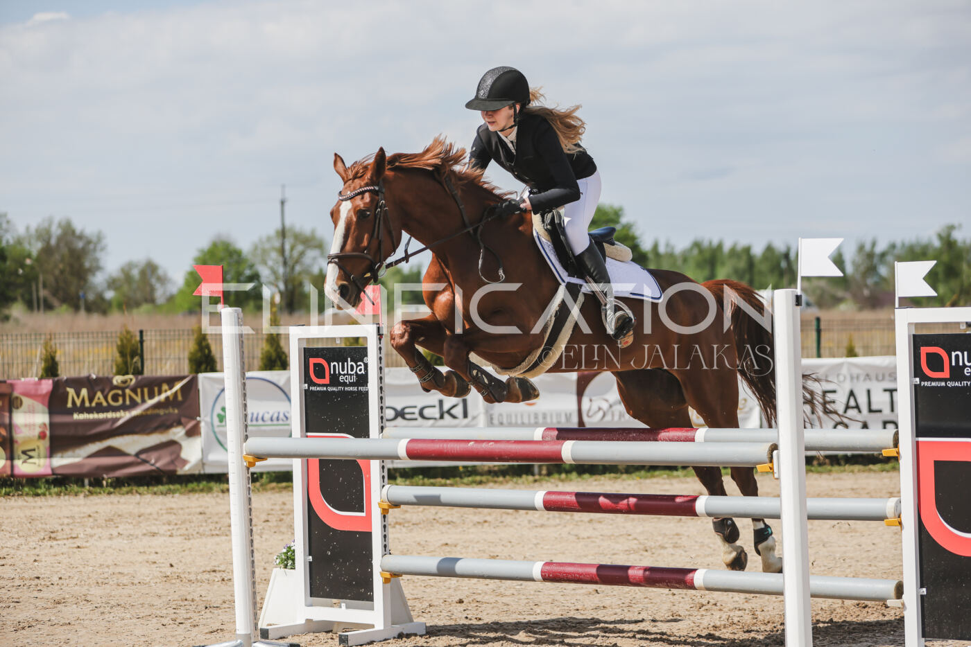 Gramina_Kevad_2026_110_158