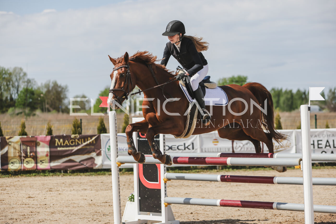 Gramina_Kevad_2026_110_160