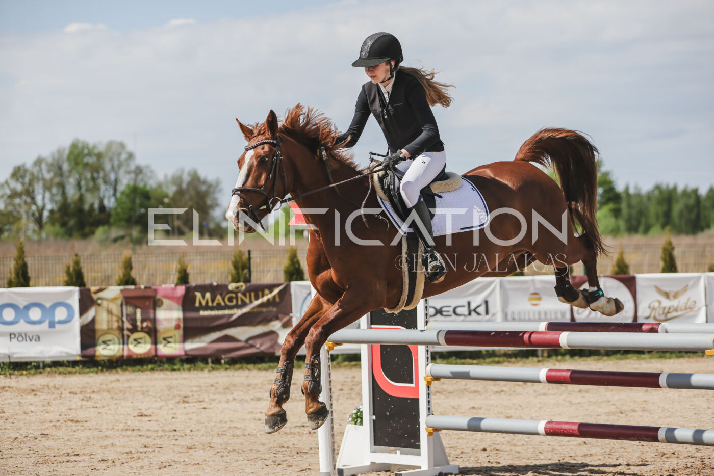 Gramina_Kevad_2026_110_162
