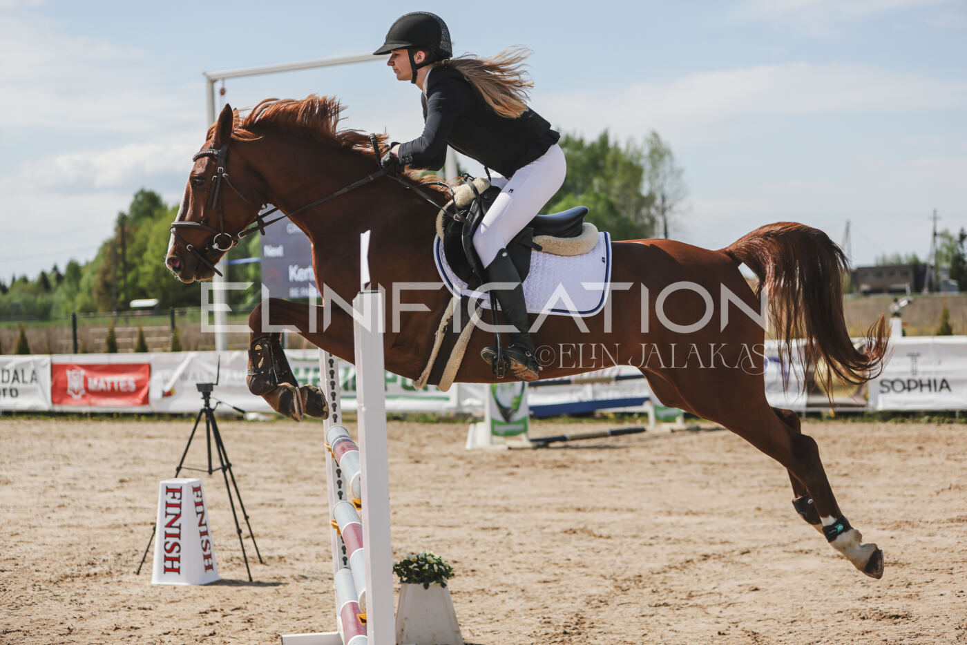 Gramina_Kevad_2026_110_164