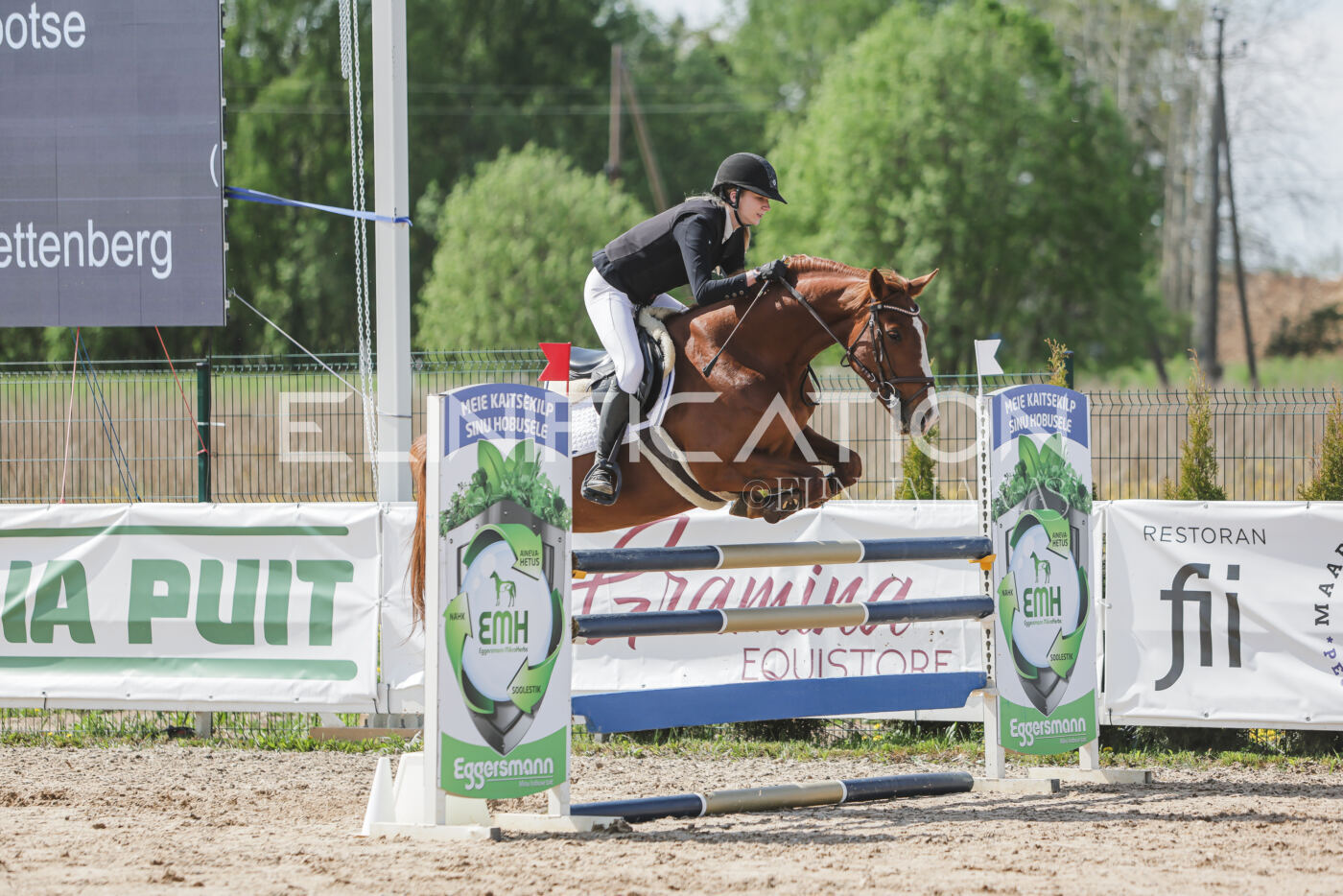 Gramina_Kevad_2026_110_166