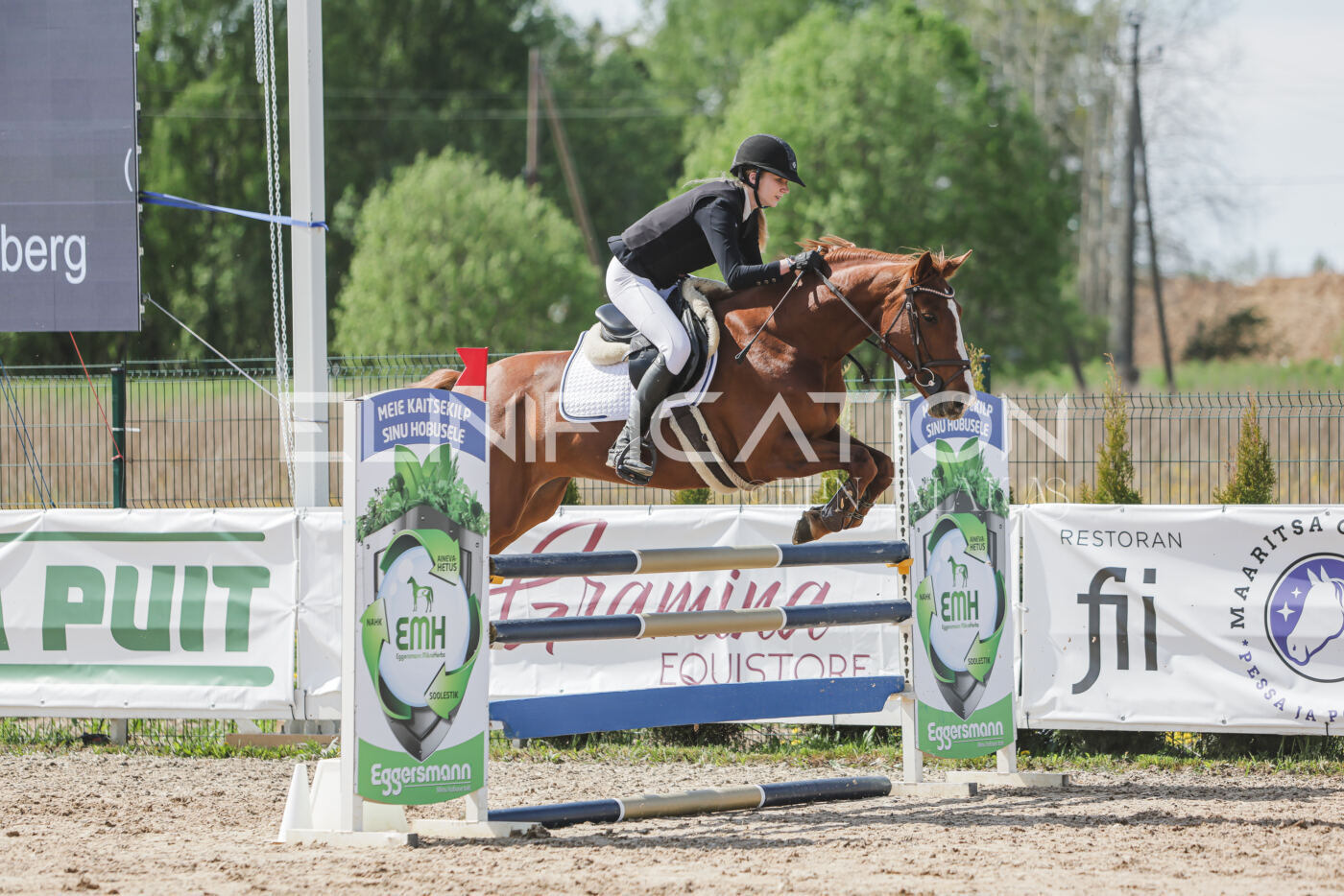 Gramina_Kevad_2026_110_167