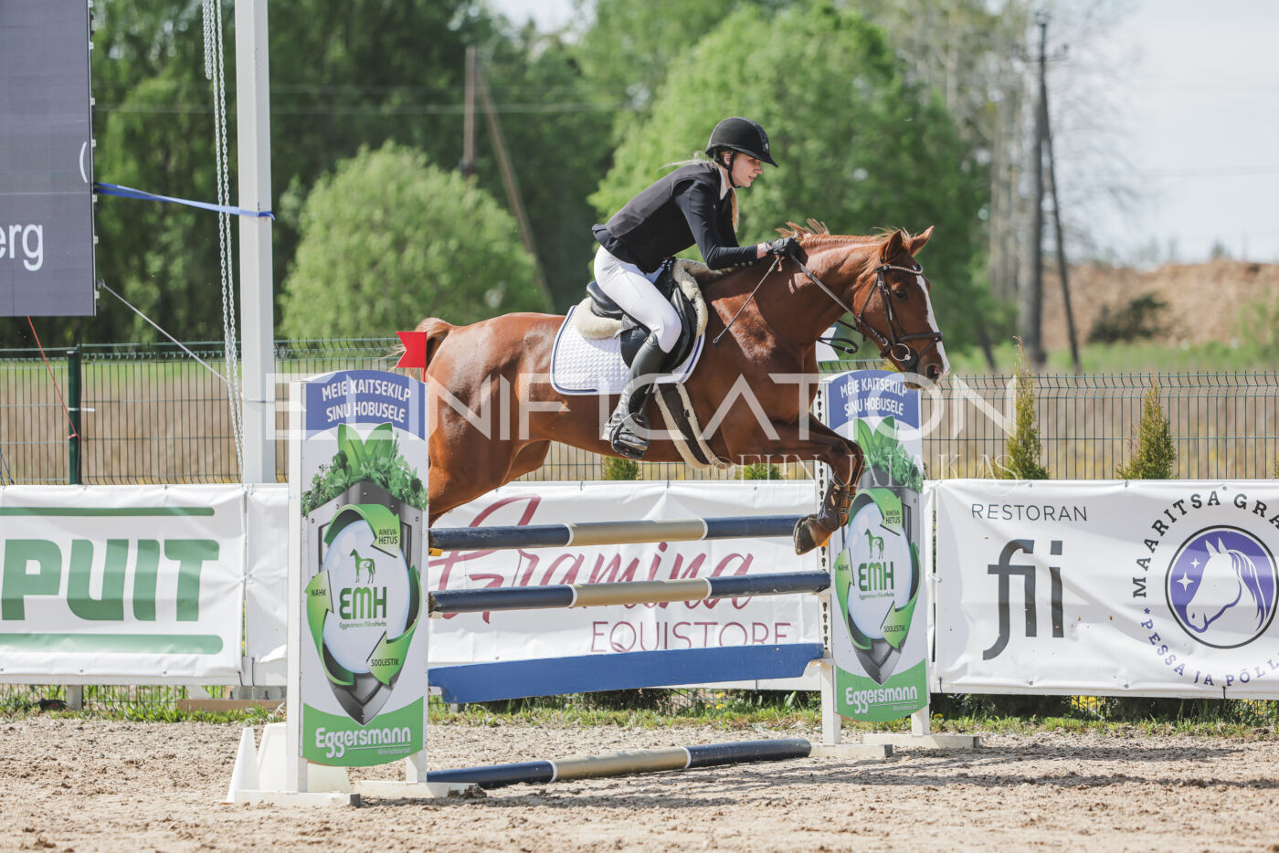 Gramina_Kevad_2026_110_168