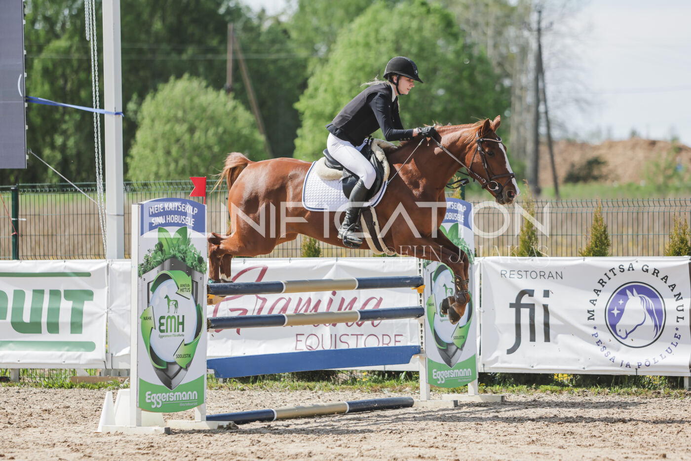 Gramina_Kevad_2026_110_169