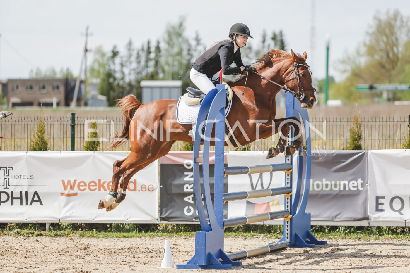 Gramina_Kevad_2026_110_171
