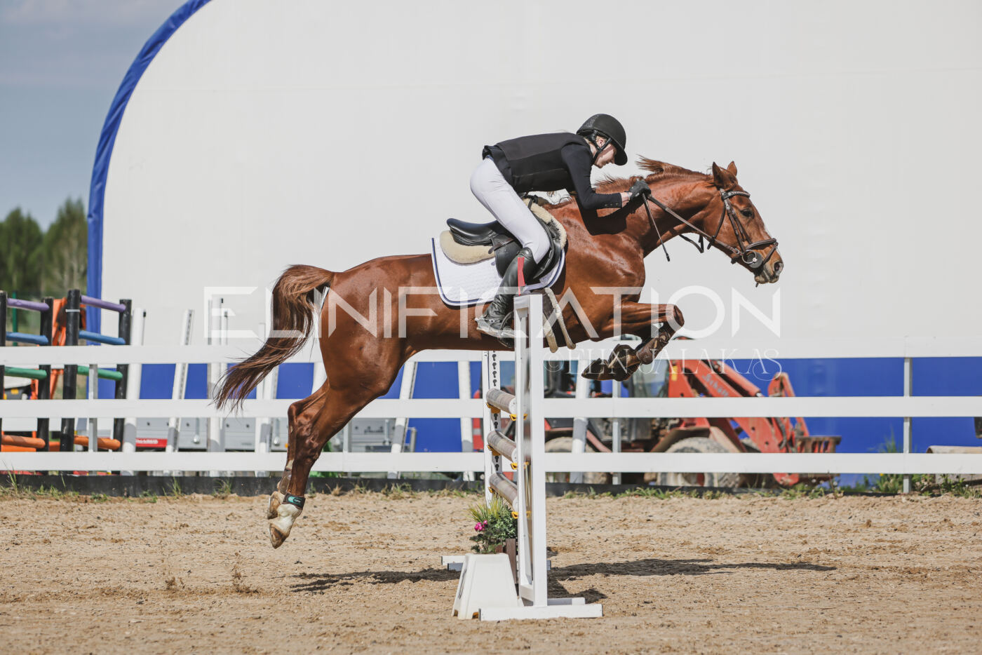 Gramina_Kevad_2026_110_176