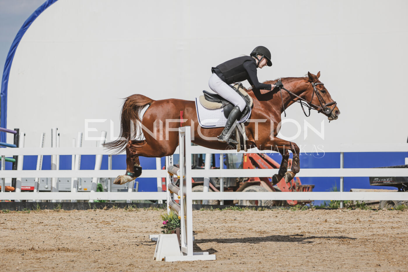 Gramina_Kevad_2026_110_178