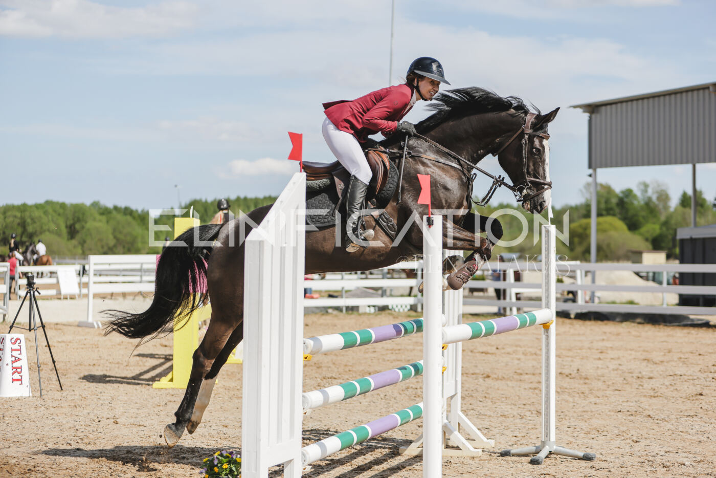 Gramina_Kevad_2026_110_179