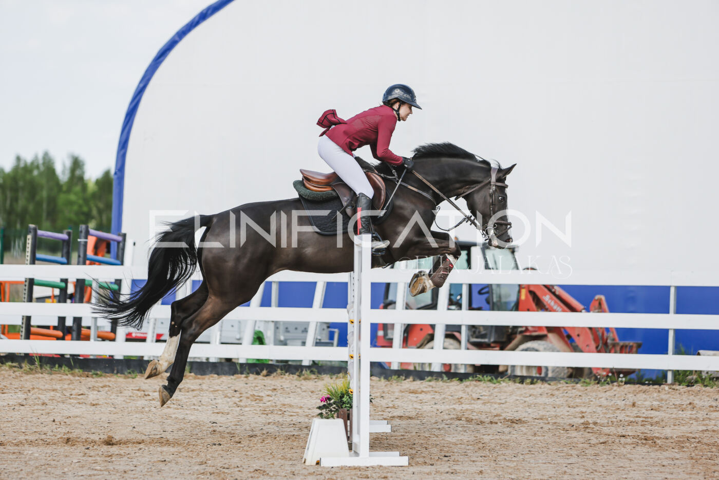 Gramina_Kevad_2026_110_206