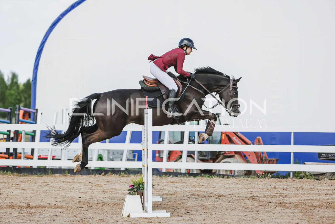Gramina_Kevad_2026_110_207