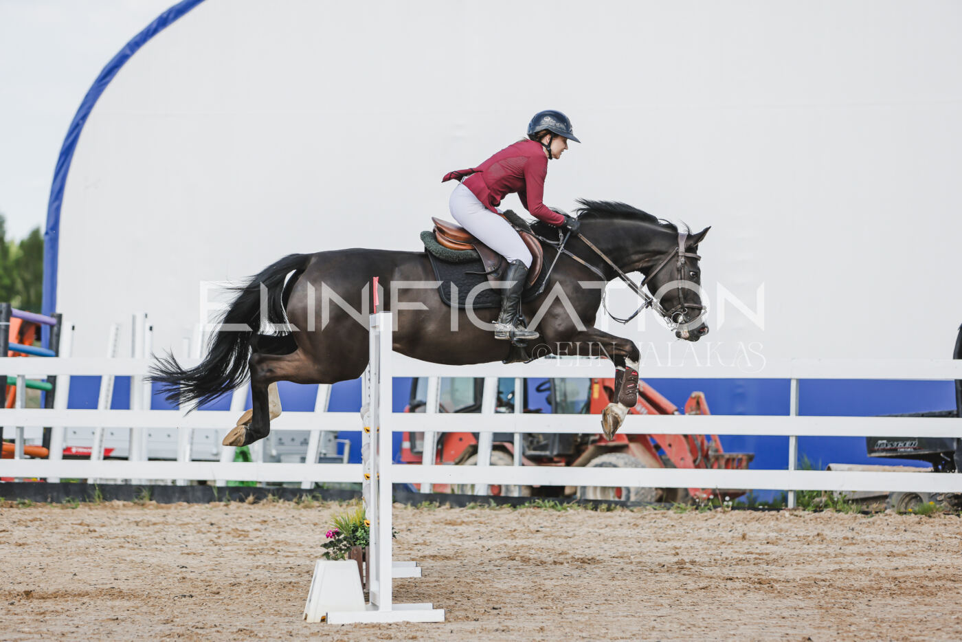 Gramina_Kevad_2026_110_208