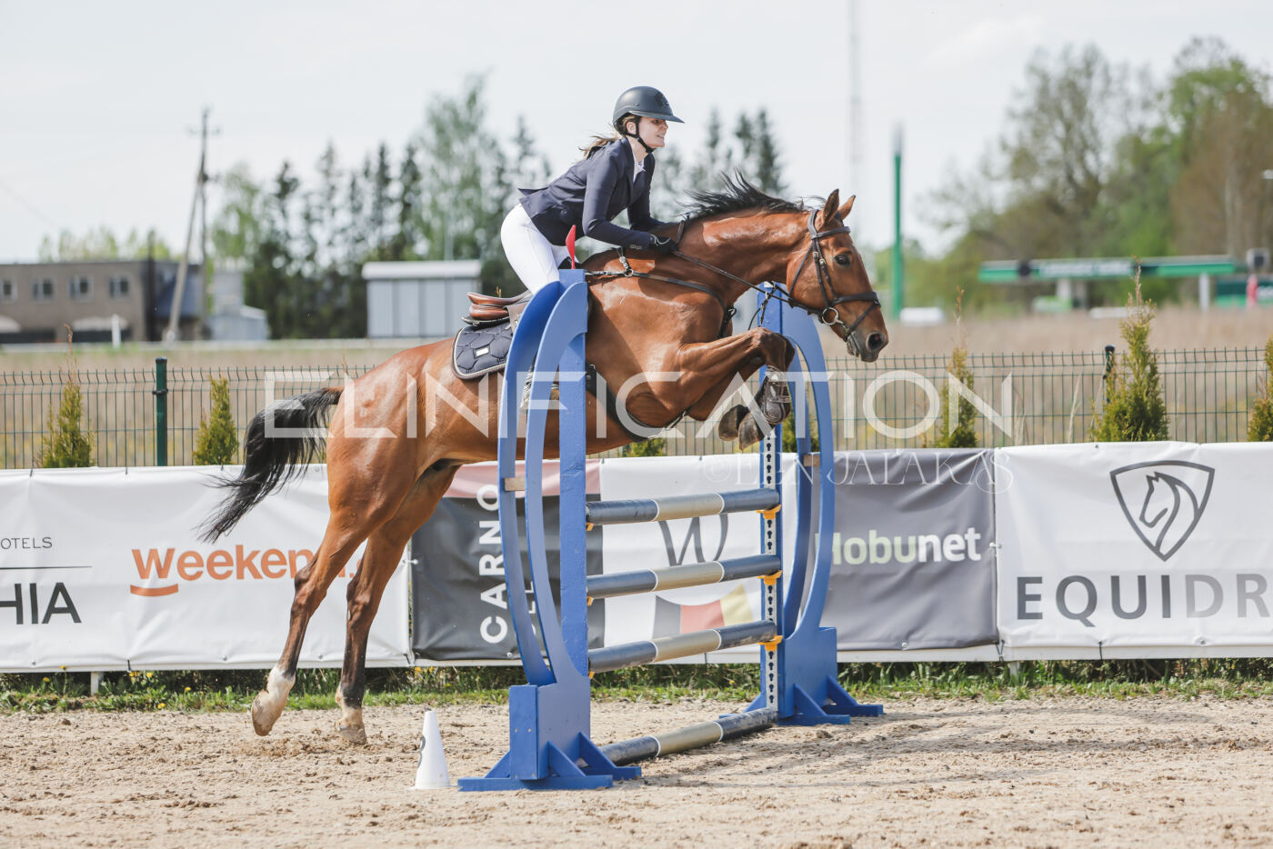 Gramina_Kevad_2026_110_219