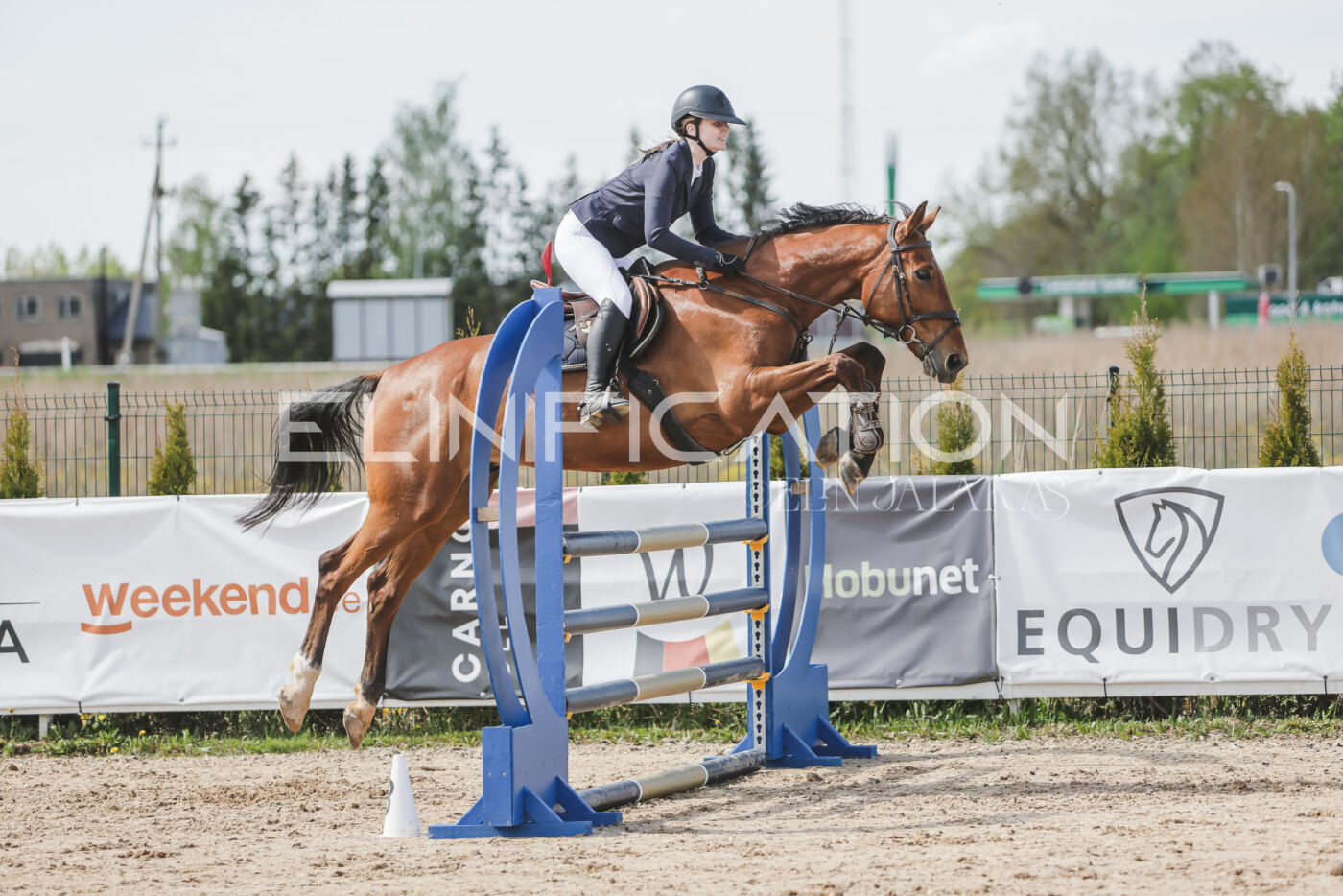 Gramina_Kevad_2026_110_220