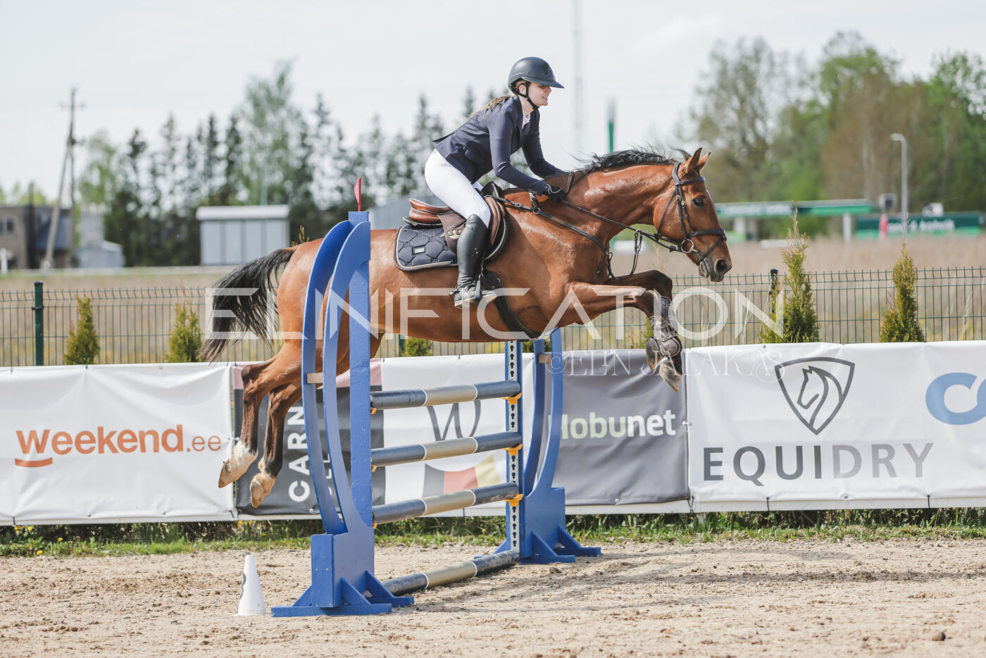 Gramina_Kevad_2026_110_221