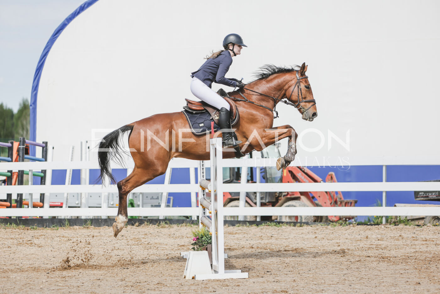 Gramina_Kevad_2026_110_224