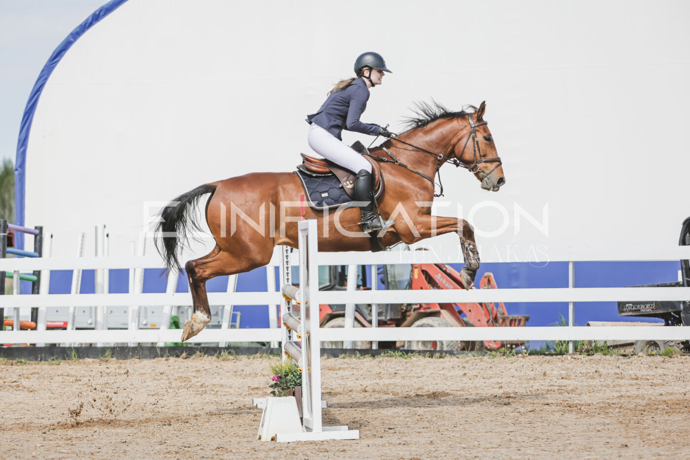 Gramina_Kevad_2026_110_225