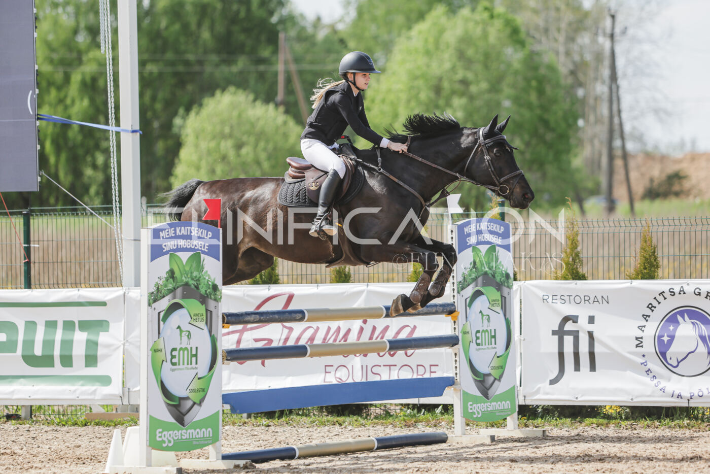 Gramina_Kevad_2026_110_243