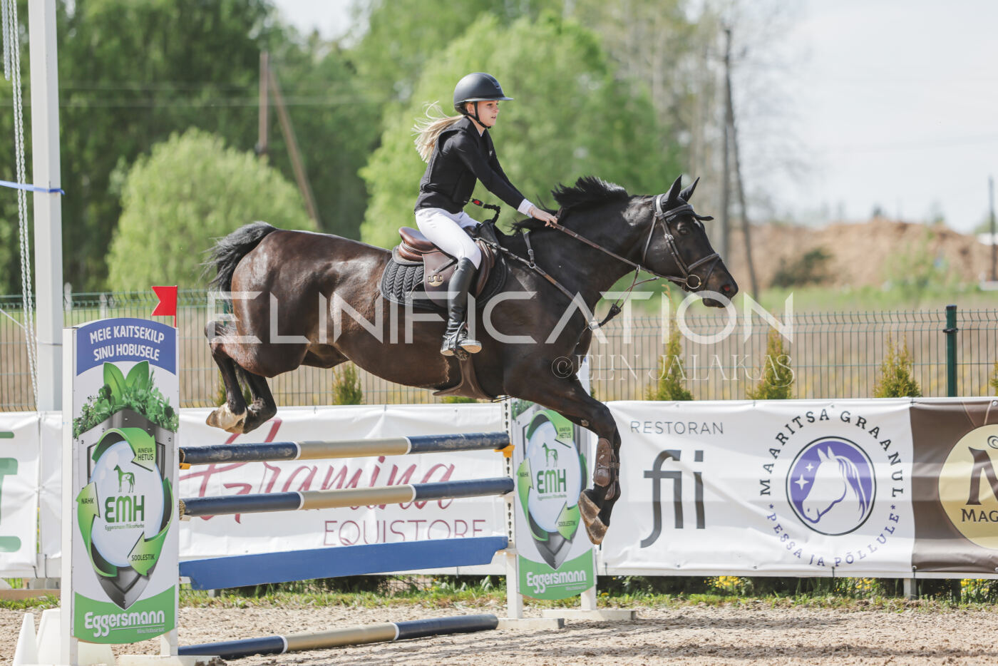 Gramina_Kevad_2026_110_245