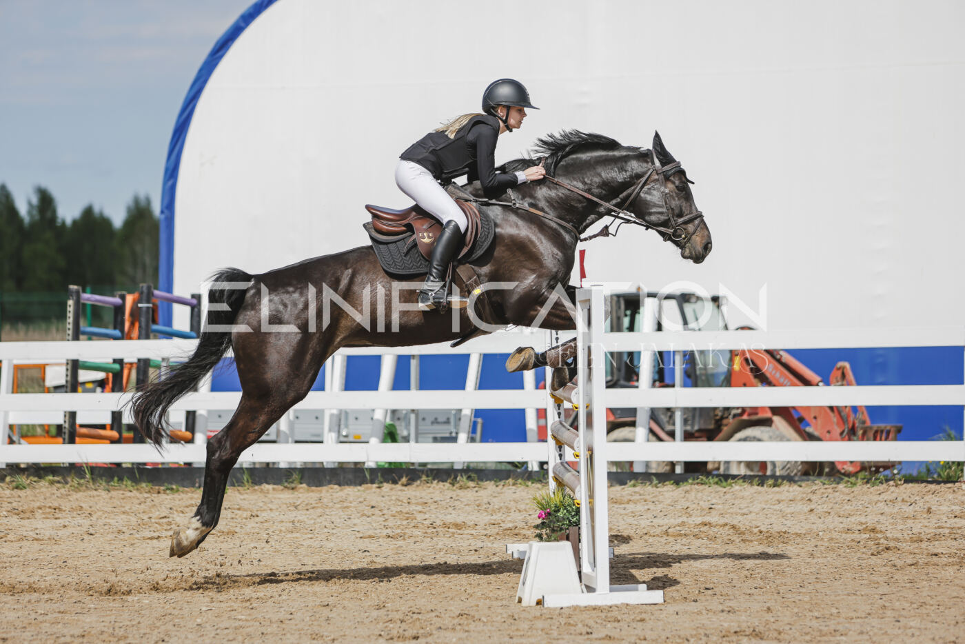 Gramina_Kevad_2026_110_246