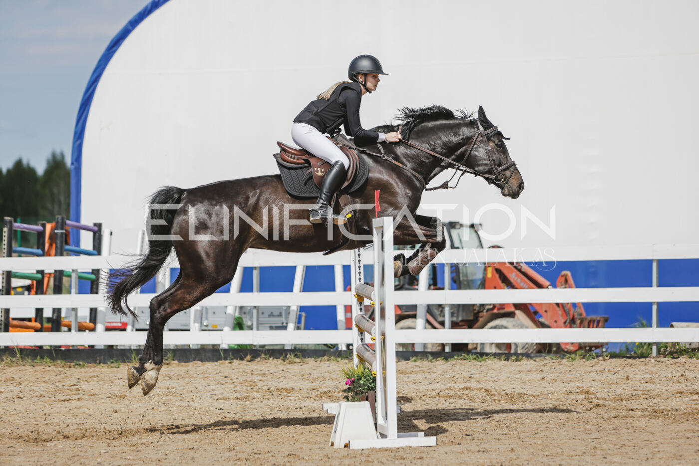 Gramina_Kevad_2026_110_247