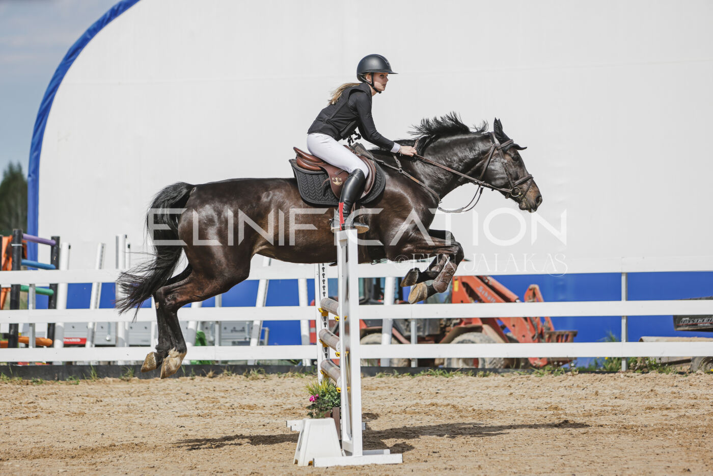 Gramina_Kevad_2026_110_248